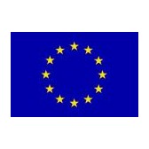 Europese vlag