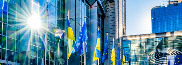 Vlaggen EU Oekraïne 01.03.22.JPG